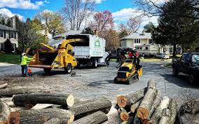 Best Aeration Services  in Kermit, TX
