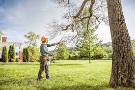 Best Pest Control for Lawns  in Kermit, TX