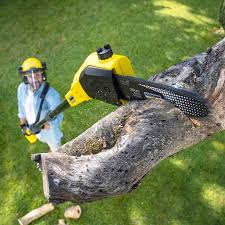 Best Lawn Mowing  in Kermit, TX